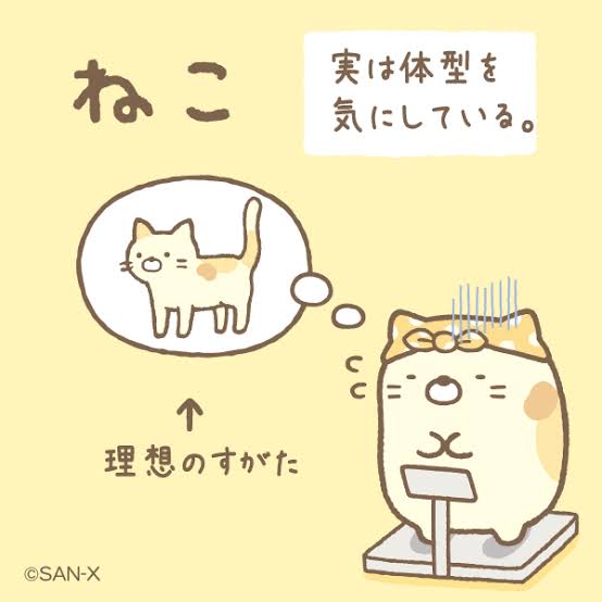 40歳以上のダイエット成功した方
