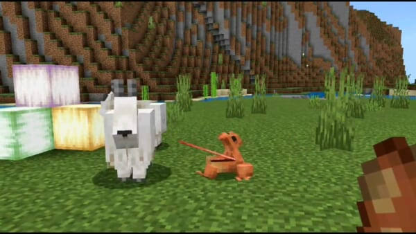 マイクラやってる方