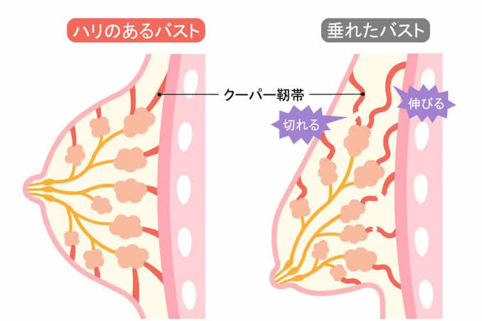 51歳・平子理沙、抜群スタイルを披露し称賛の声「憧れます」「女神さまのよう」