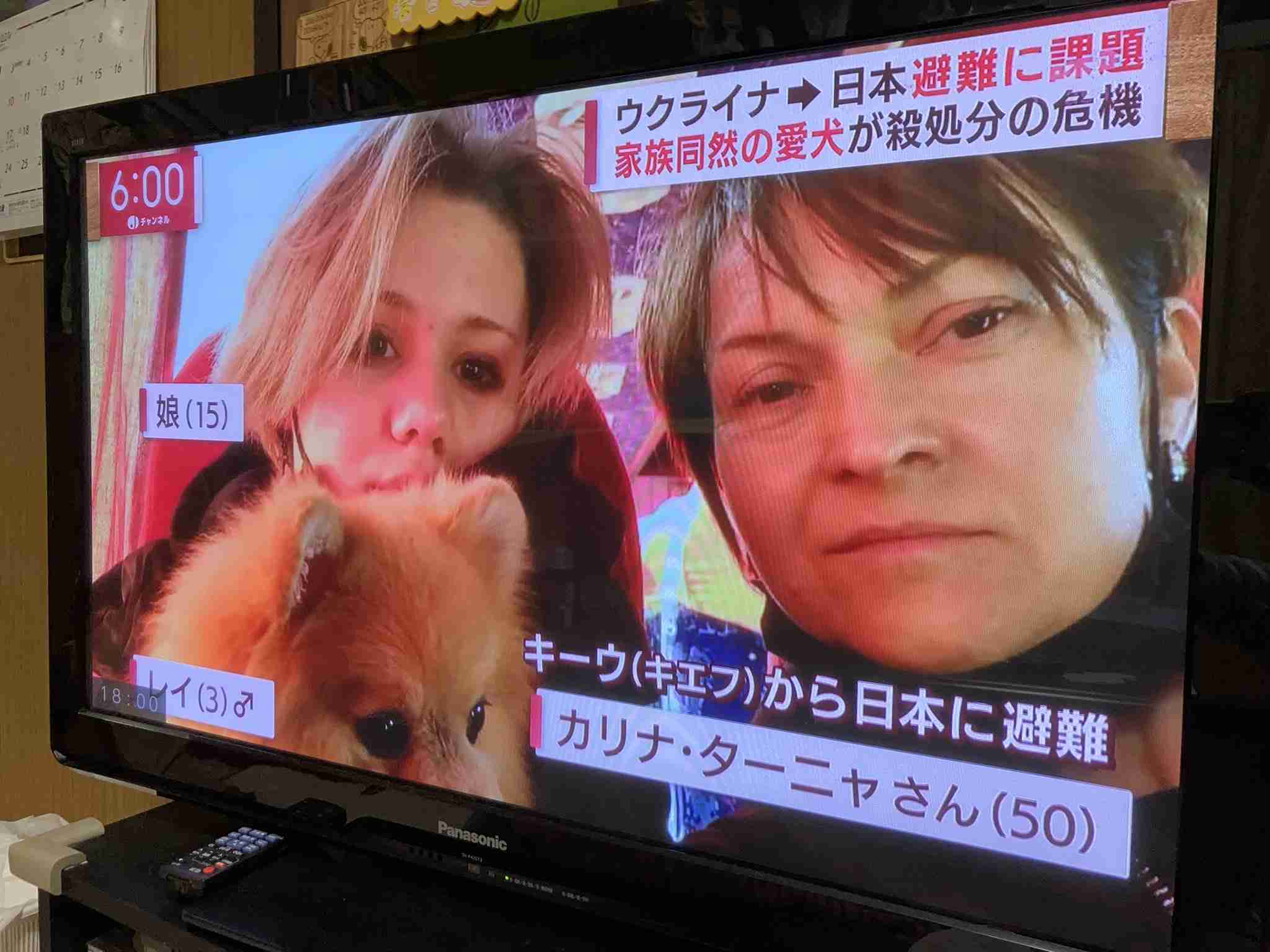 ドンキで働くウクライナ避難民に密着！ 見えてきた日本の支援の課題とは