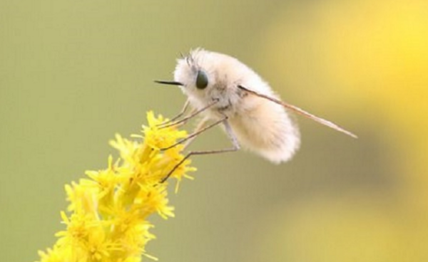 地球上で一番可愛い生き物