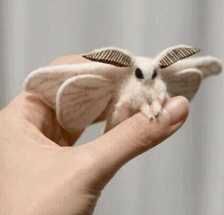 地球上で一番可愛い生き物