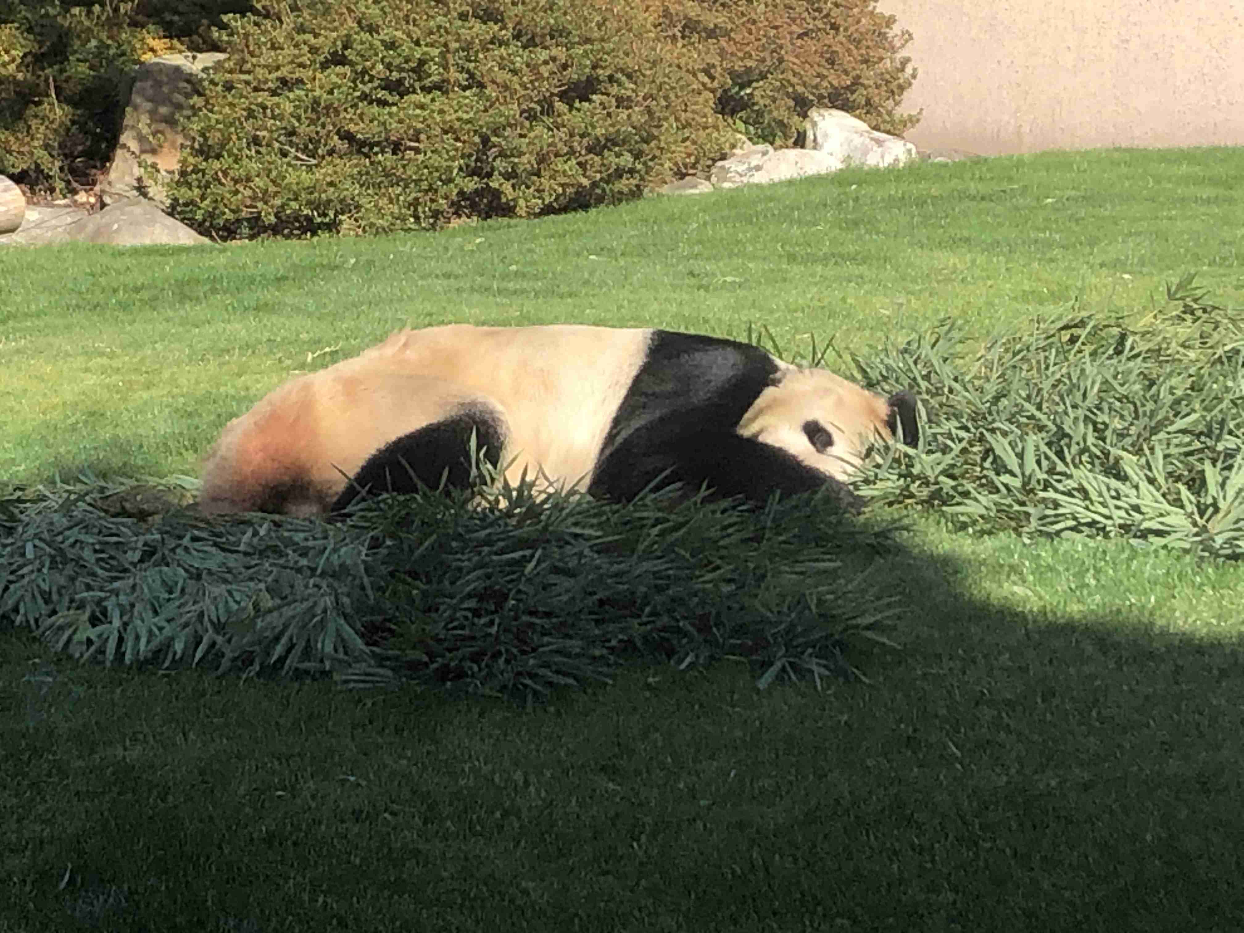 地球上で一番可愛い生き物