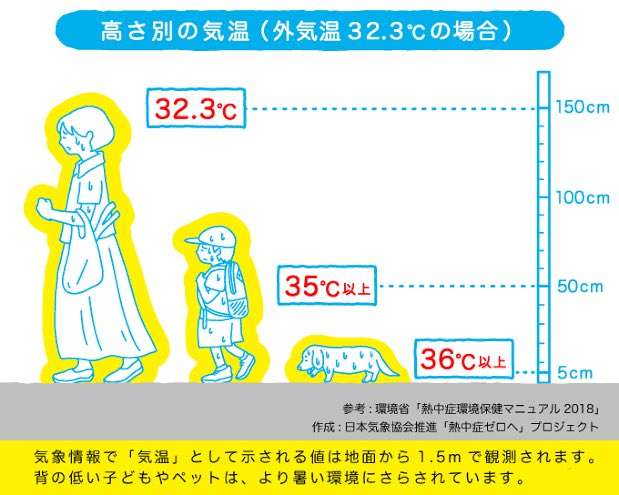 「屋外で人との距離が十分ある場合にはマスクを外すことを推奨」マスク着用について松野官房長官