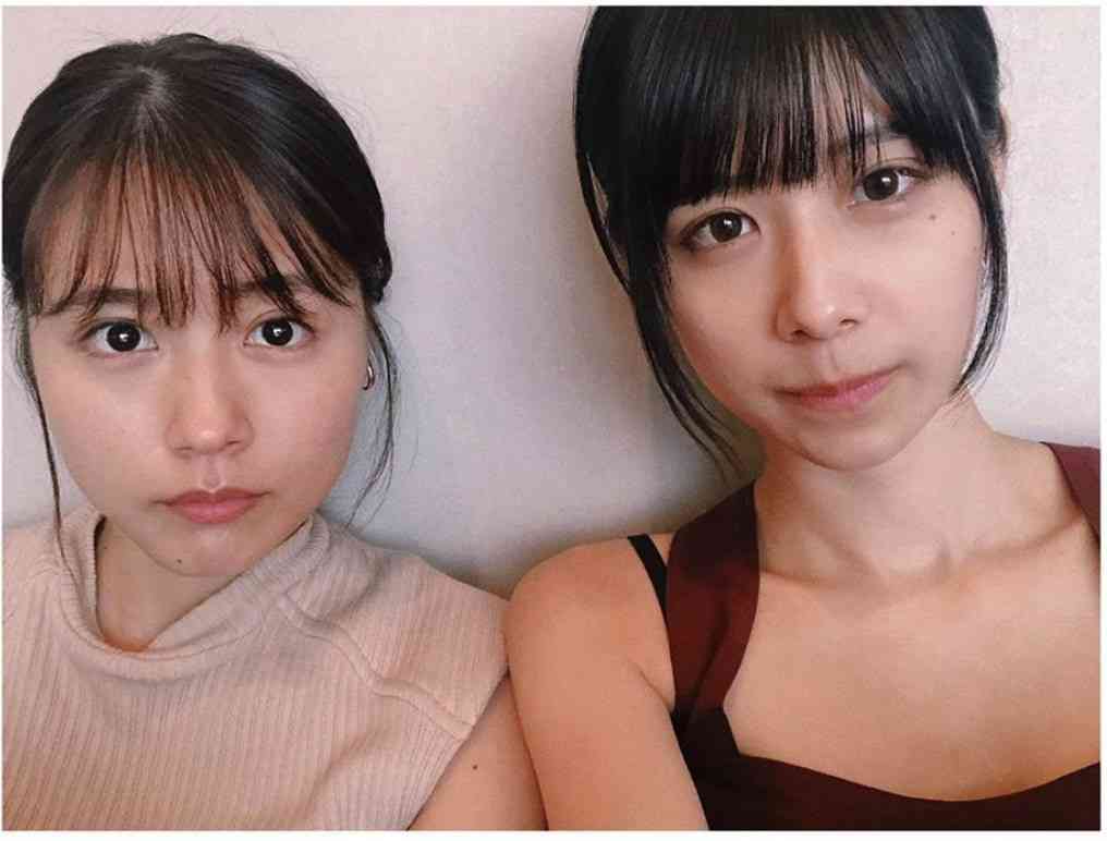 芸能人の兄弟姉妹が見たい!