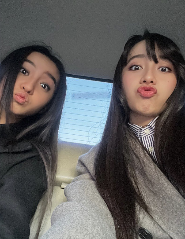 芸能人の兄弟姉妹が見たい!