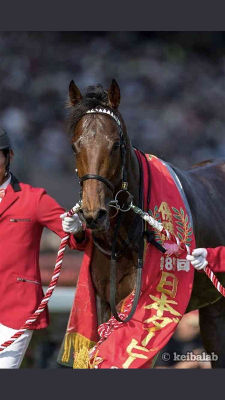 【競馬】UMAJO集まれ! Part14
