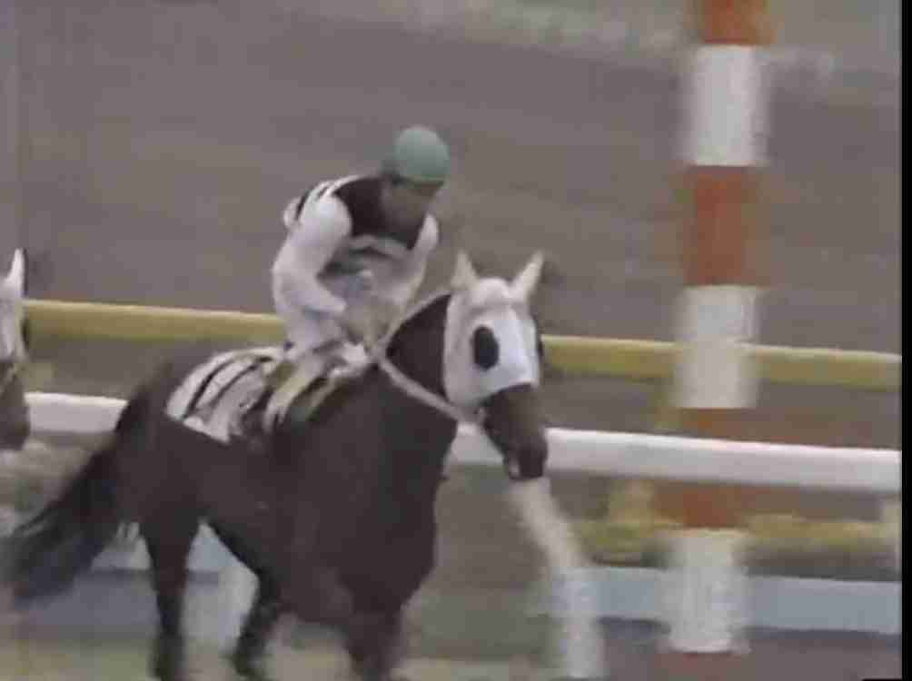 【競馬】UMAJO集まれ! Part14