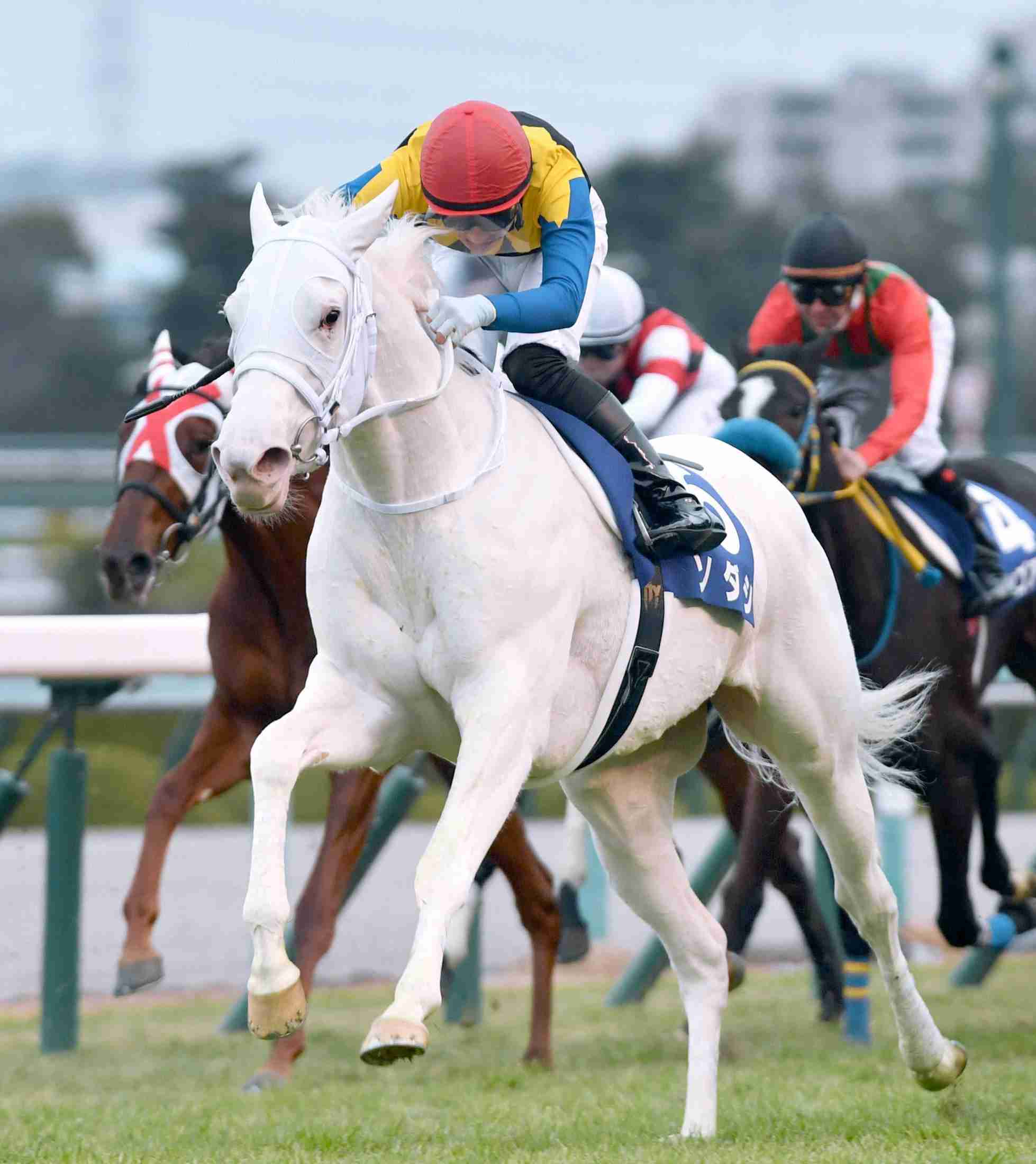 【競馬】UMAJO集まれ! Part14