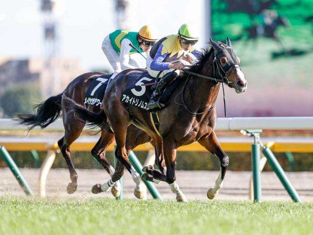 【競馬】UMAJO集まれ! Part14