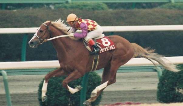 【競馬】UMAJO集まれ! Part14