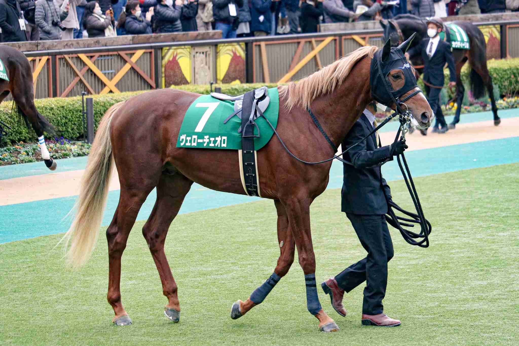 【競馬】UMAJO集まれ! Part14