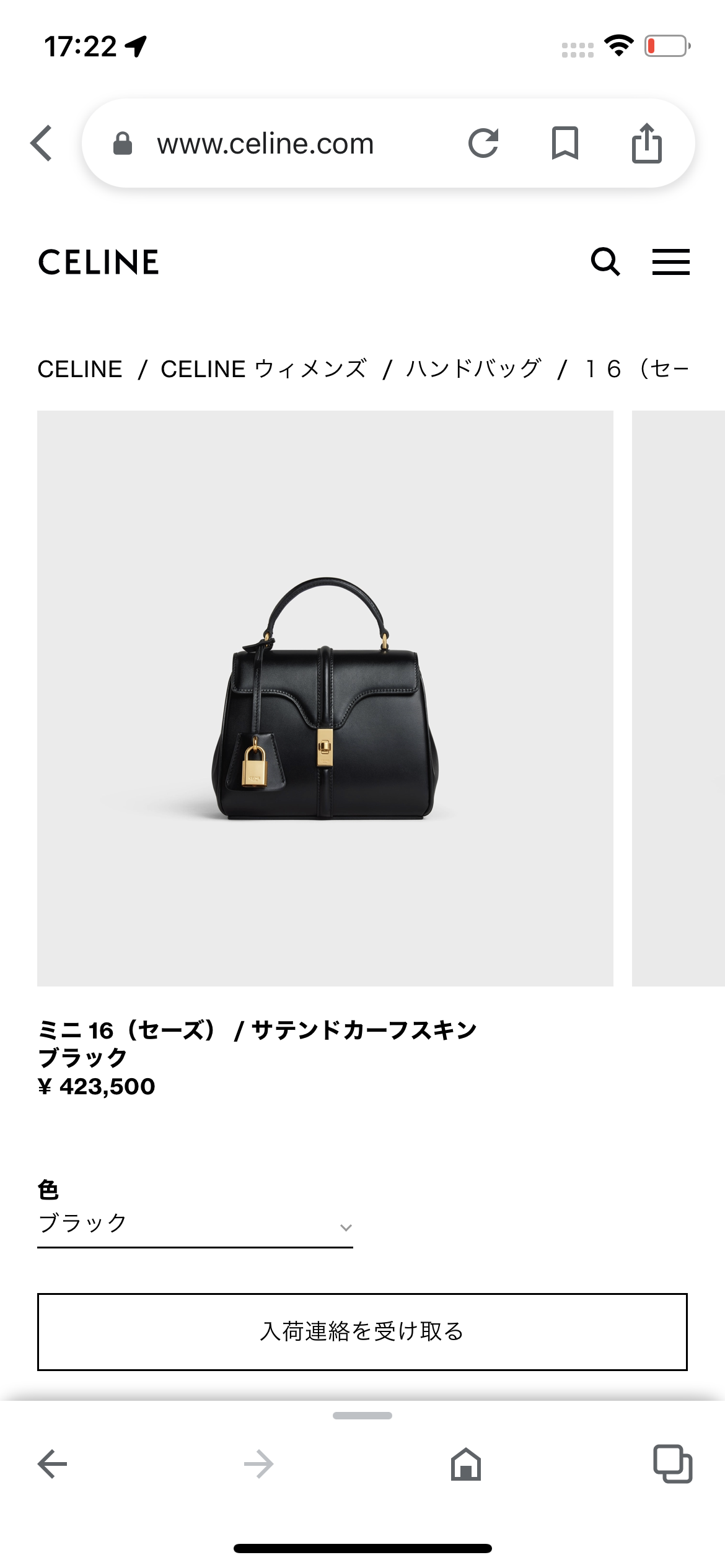 ネットで見掛けて一目惚れした商品、アリかナシか正直に判断してもらって購入を考えるトピ