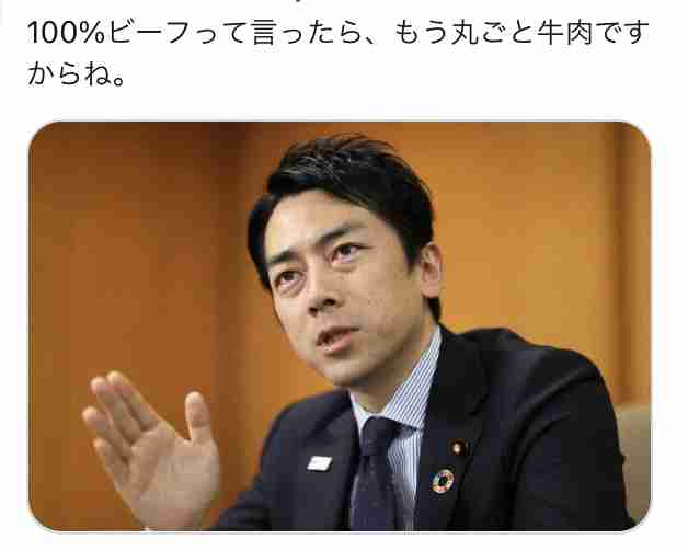 「オレ、今、食べてる」　小泉進次郎氏も関心　議員会館で昆虫食