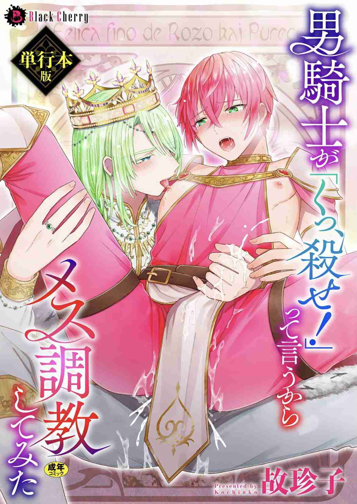 【定期】商業BLが好きな人part13【閲覧注意】