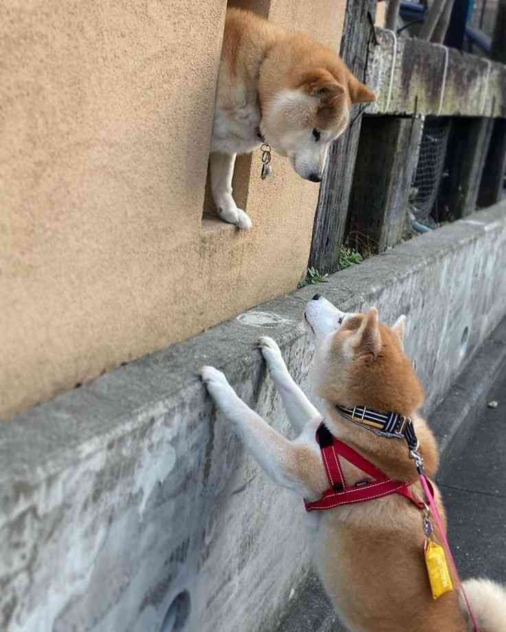 自分の近い所で会おうとする人