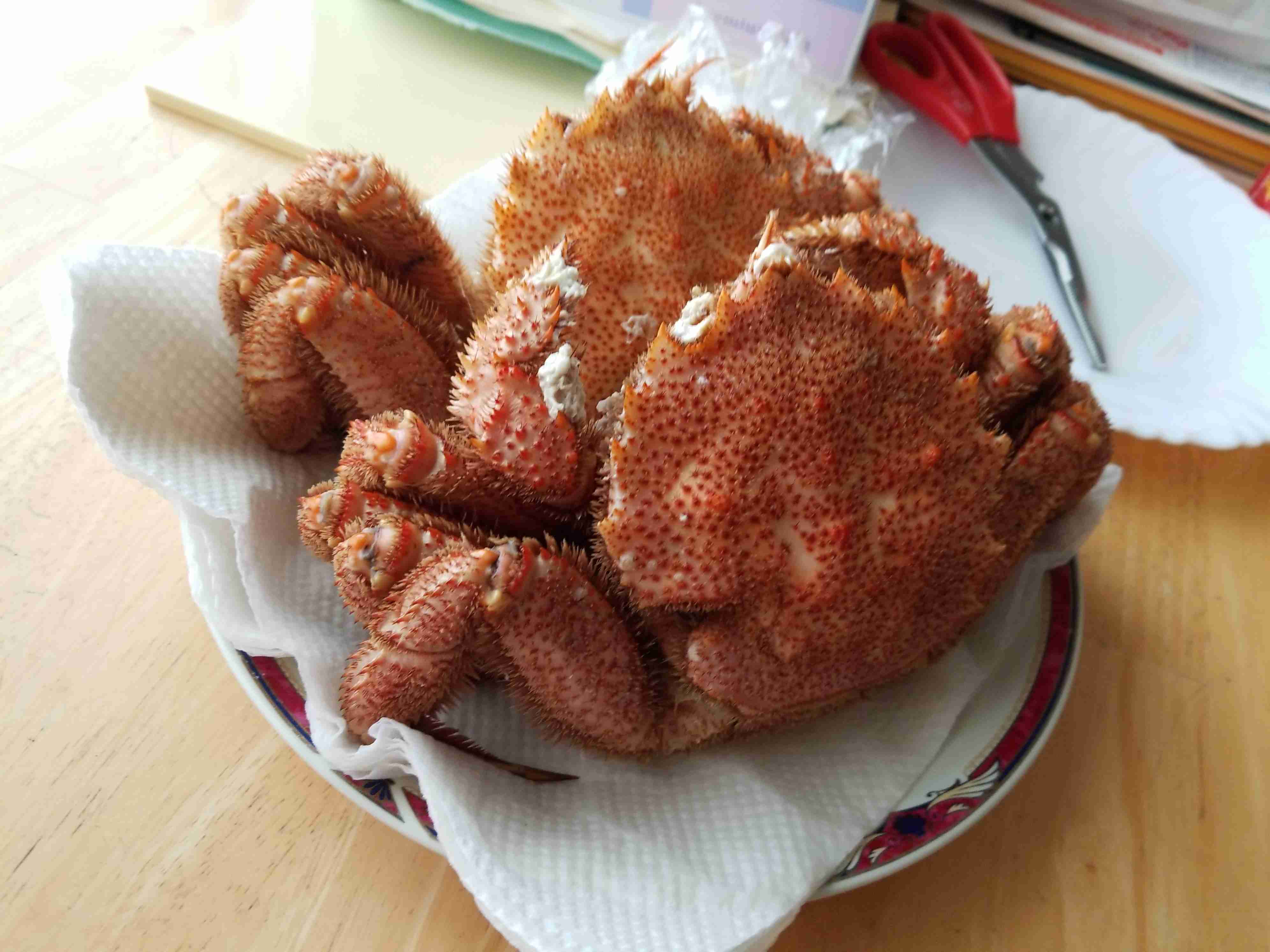 ちょっとの量でたくさん飲めるおつまみ