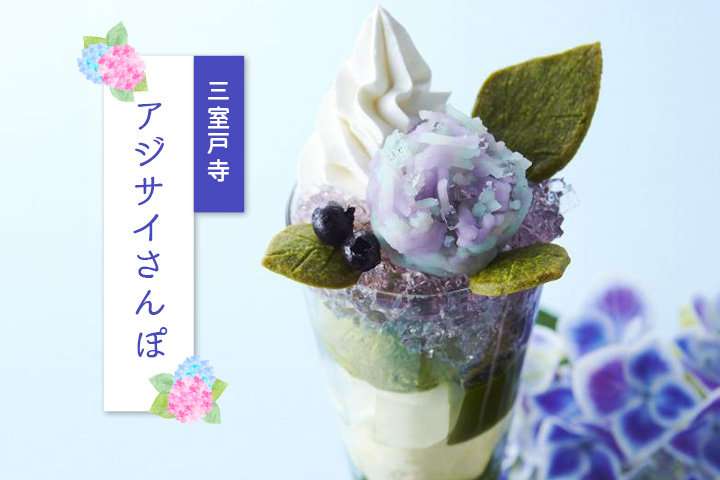 素敵な紫陽花が欲しい