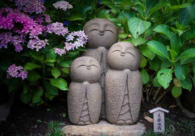 素敵な紫陽花が欲しい