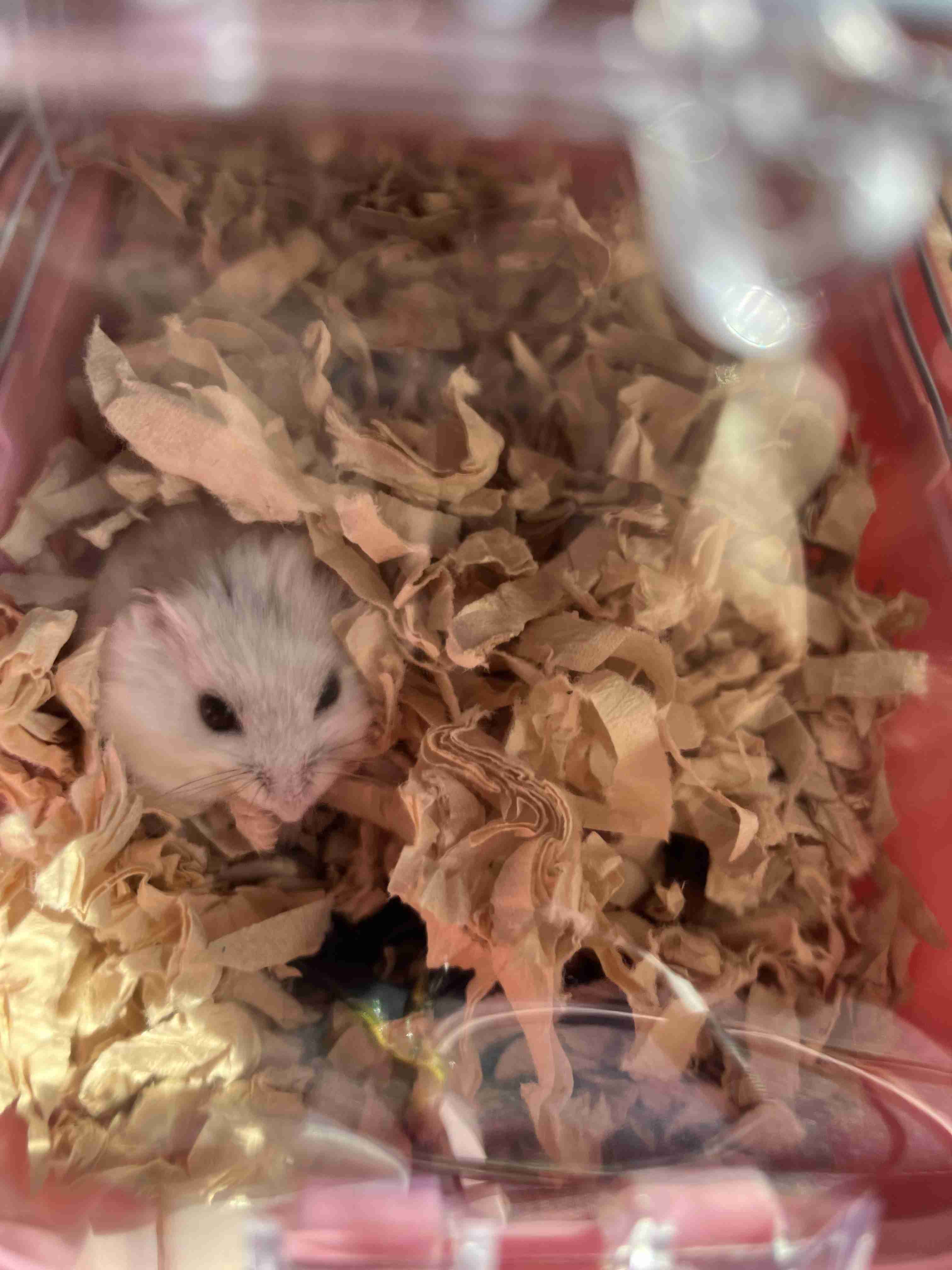 【LINEみたいに】あまり内容のないやり取り【雑談】