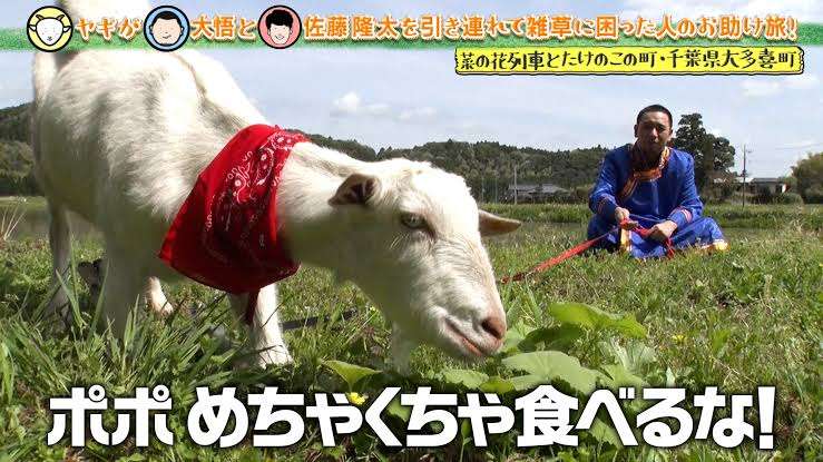 千葉県民あつまれ!