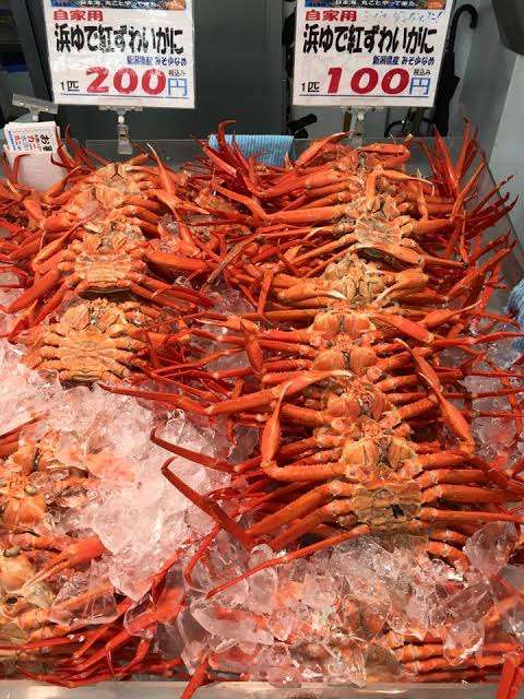 新潟のおすすめスポット教えてください!
