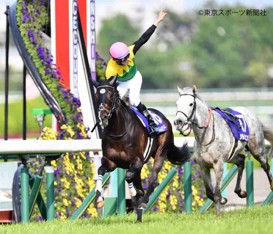 【競馬】UMAJO集まれ!Part13【G1折返し】