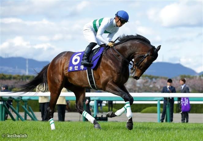 【競馬】UMAJO集まれ!Part13【G1折返し】