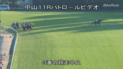 【競馬】UMAJO集まれ!Part13【G1折返し】