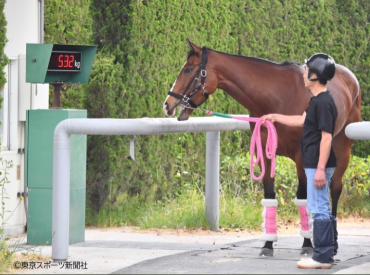【競馬】UMAJO集まれ!Part13【G1折返し】