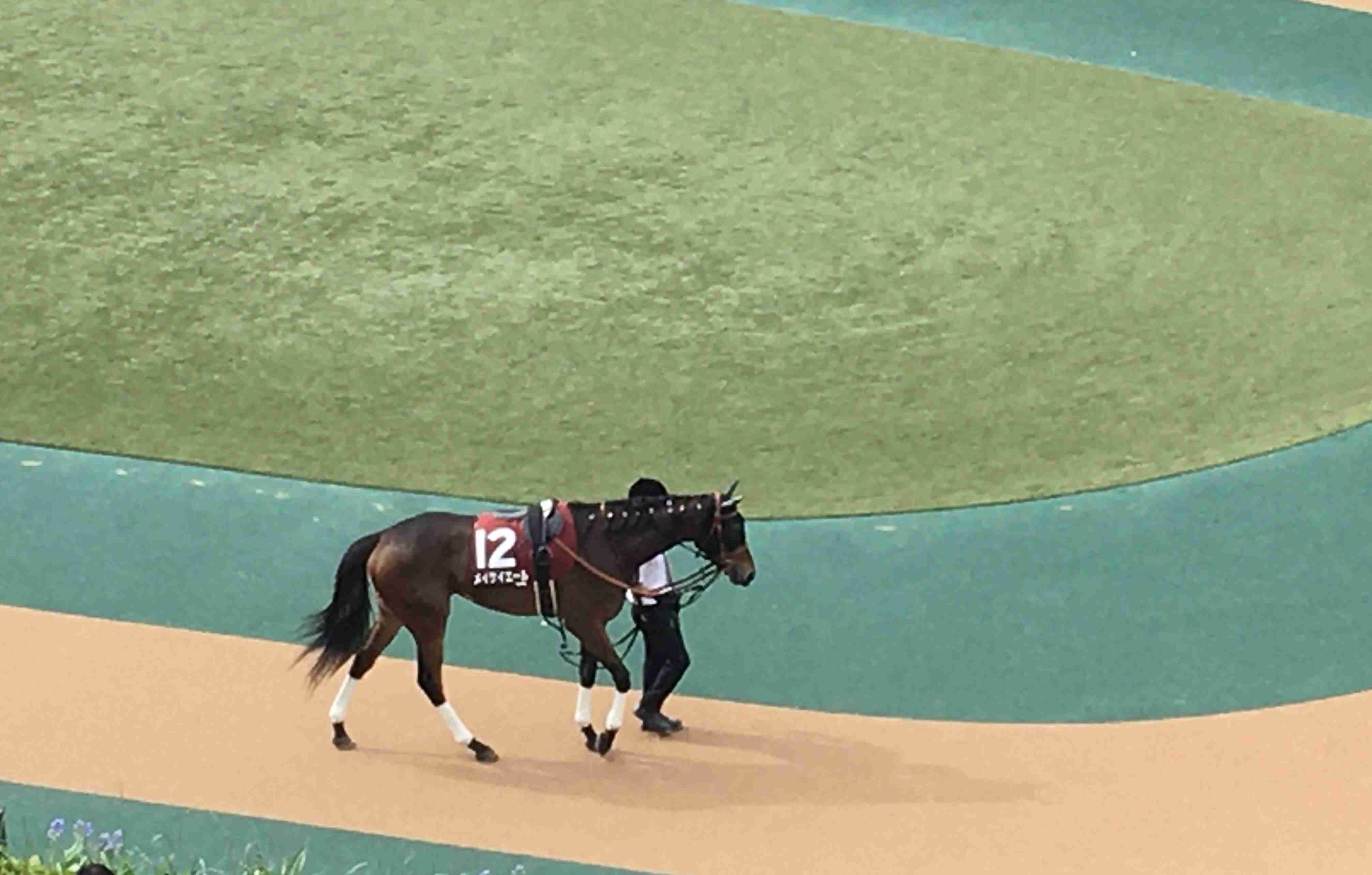 【競馬】UMAJO集まれ!Part13【G1折返し】