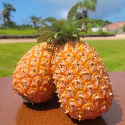 パイナップル🍍好きな人