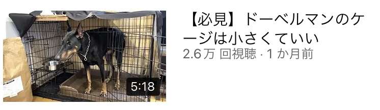 ドーベルマン窃盗被害、飼い主「晒し」で炎上のYouTuberが再謝罪　「直接お詫び」意向も...本人と連絡取れず