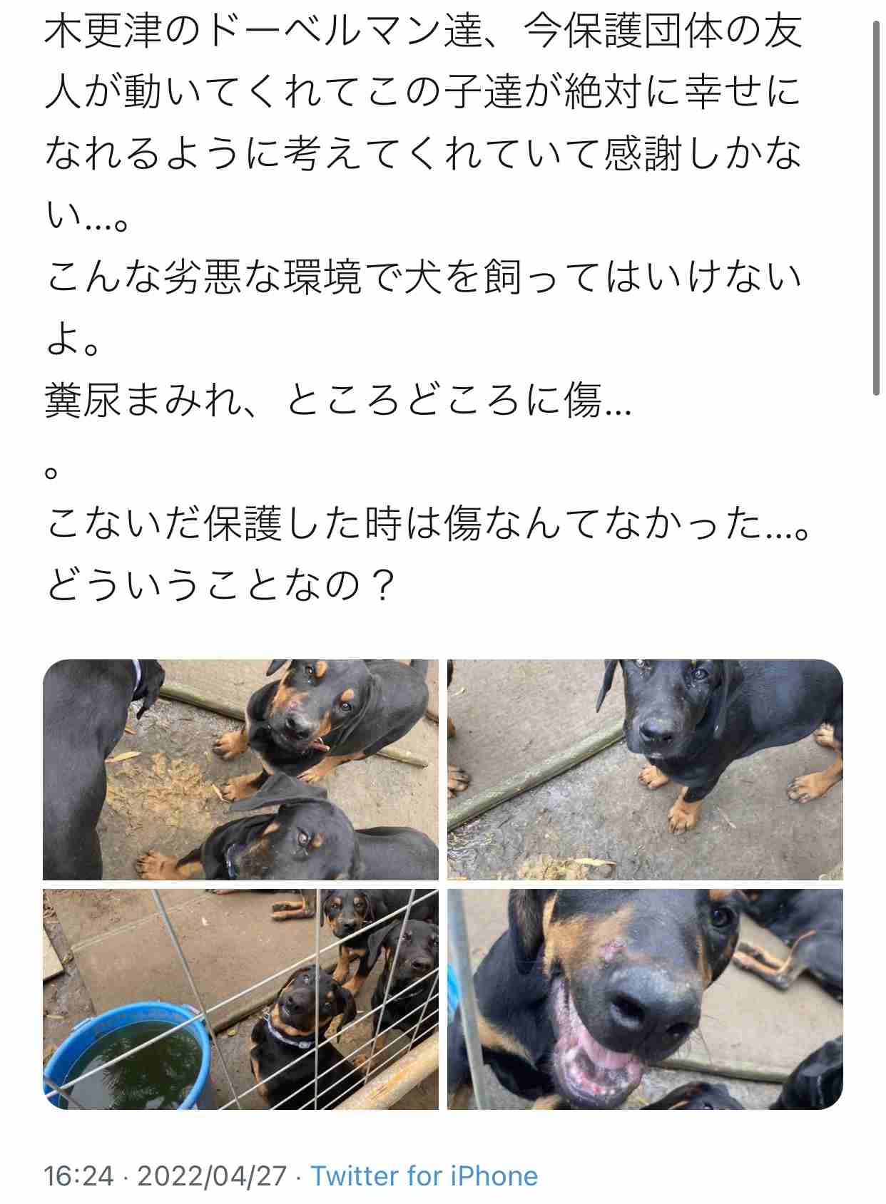木更津の