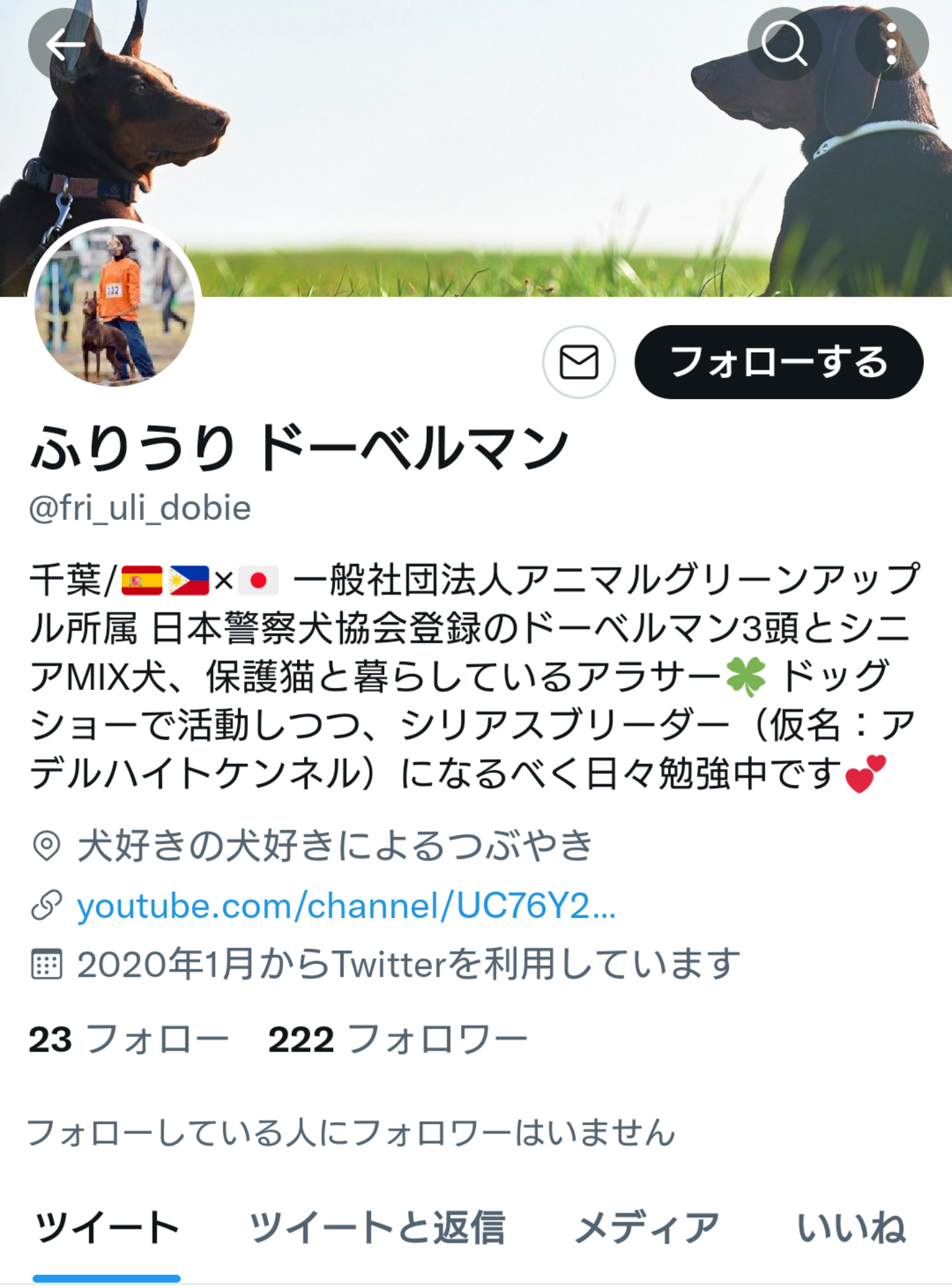 木更津の
