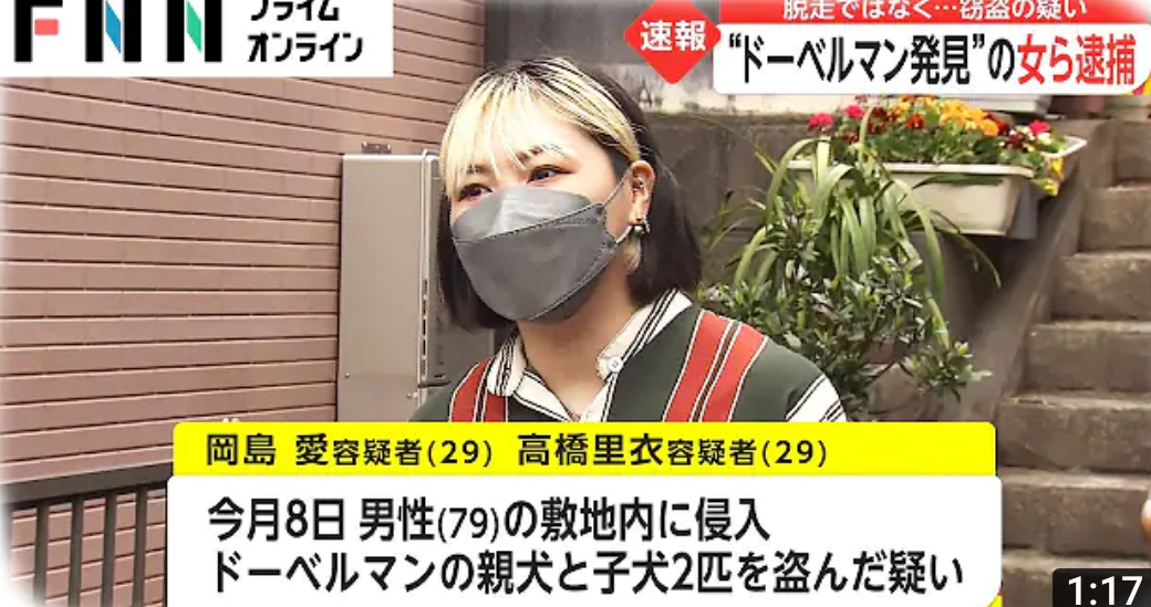 木更津の