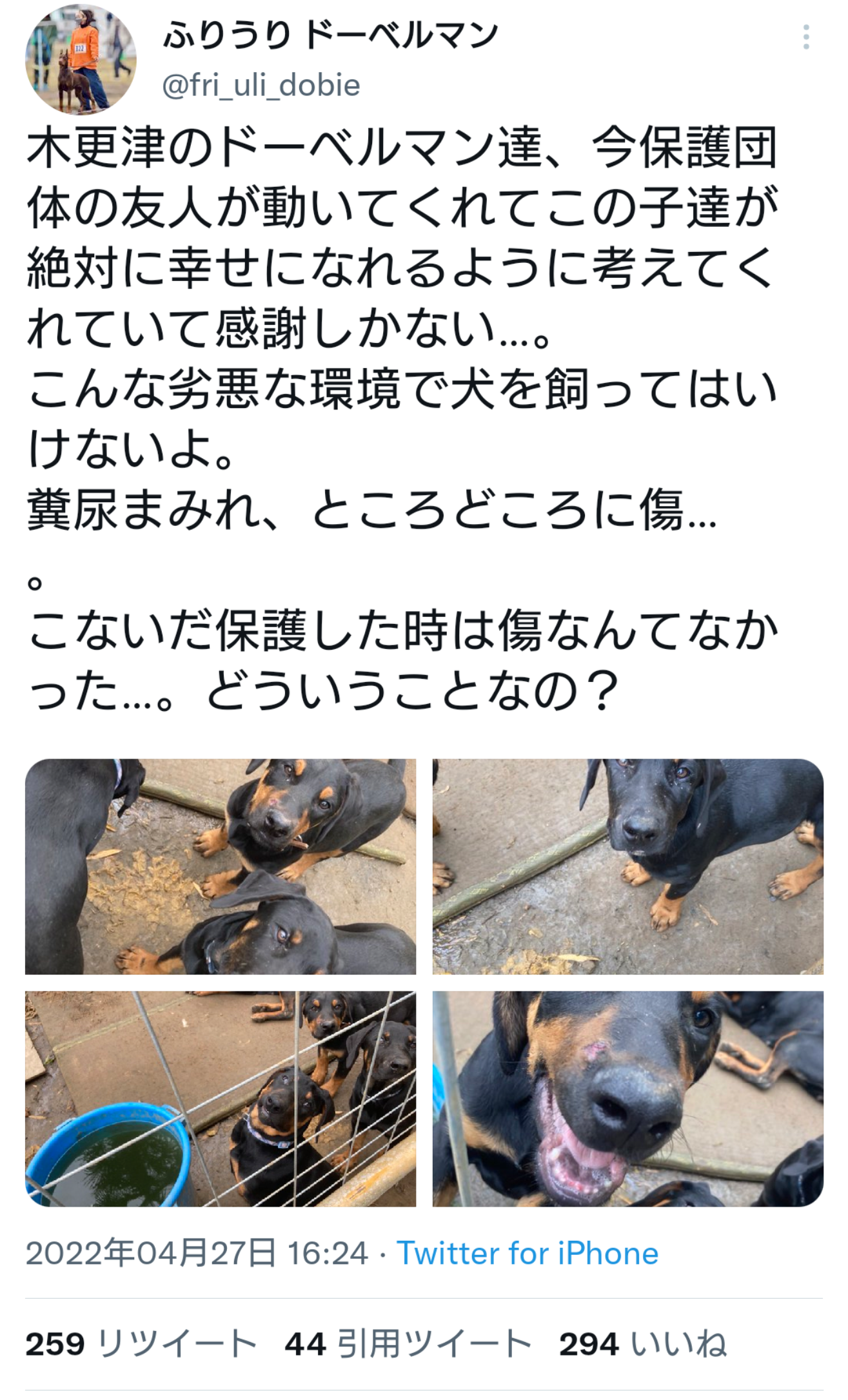 木更津の