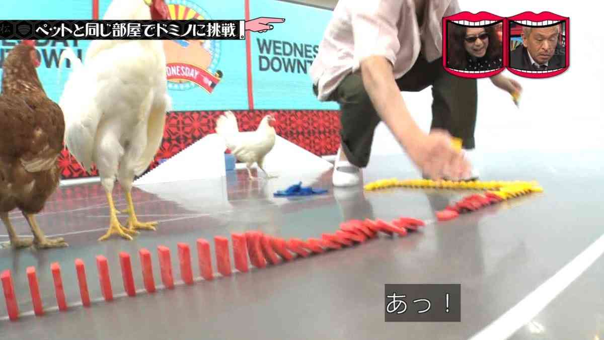 ｢水曜日のダウンタウン｣をみて涙がでた…バラエティー番組を放送休止に追い込む｢過剰コンプラ｣を憂う