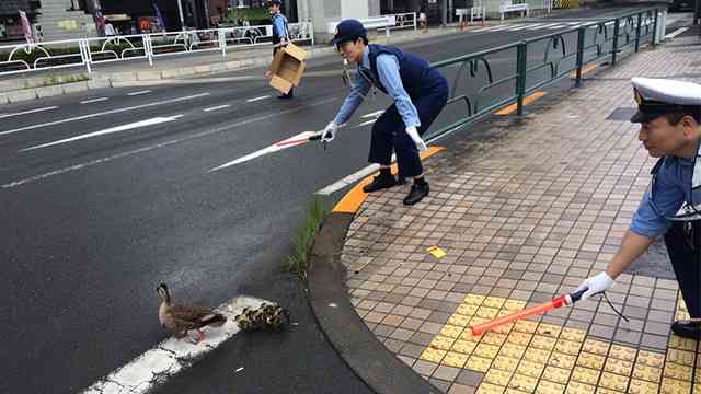 愛鳥週間🦜