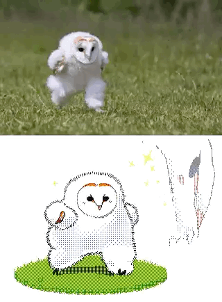 愛鳥週間🦜