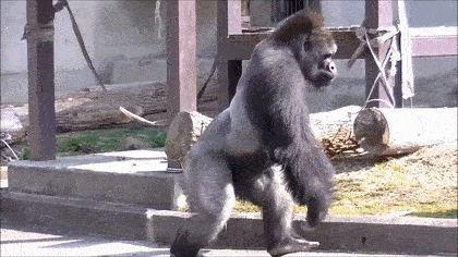 スギちゃん口調で喋ろうぜぇ～！【part72】