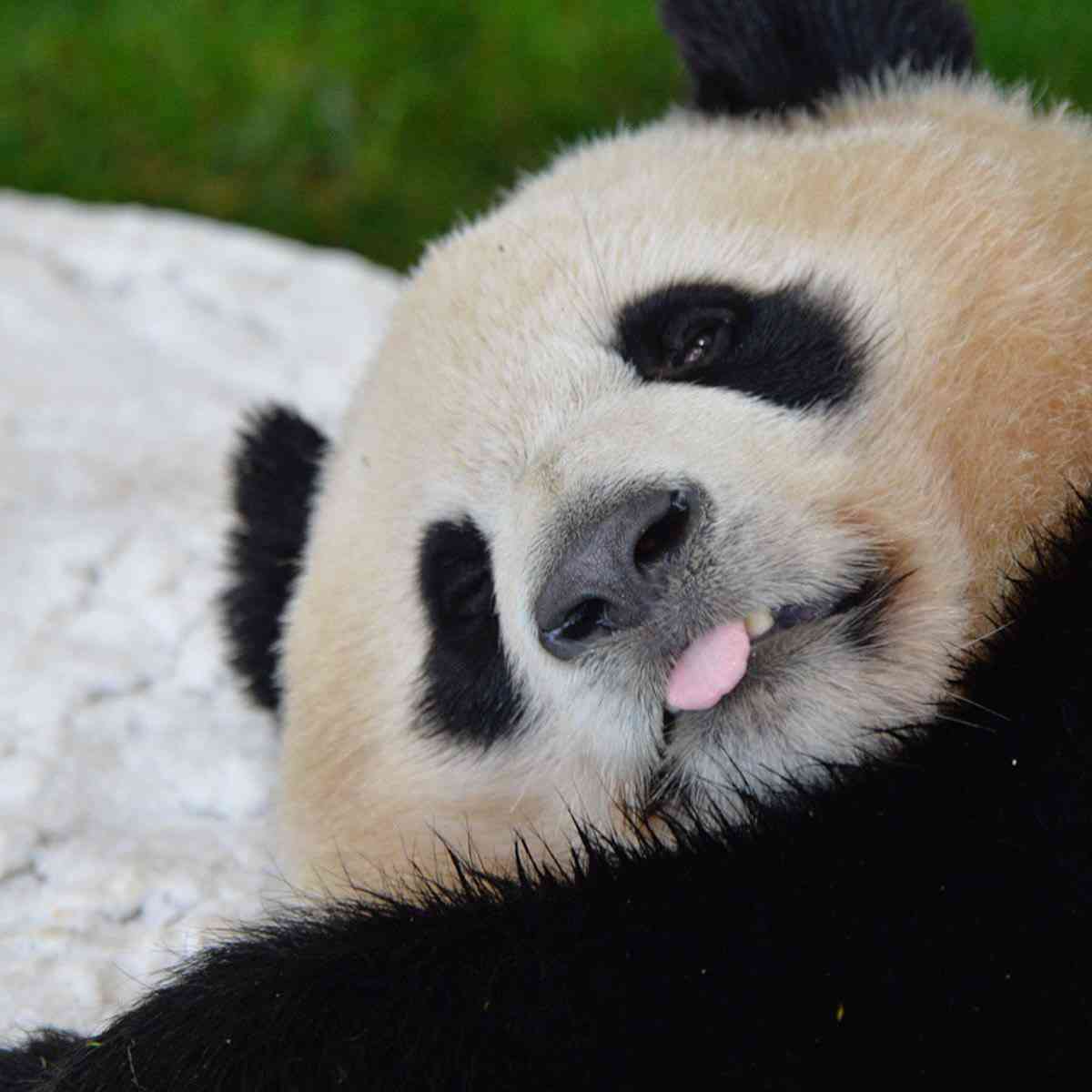 スギちゃん口調で喋ろうぜぇ～！【part72】