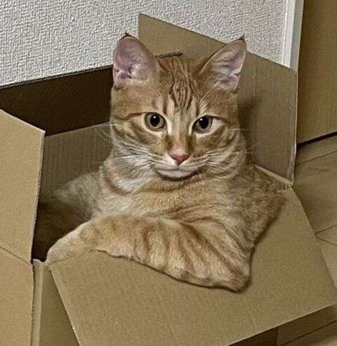 スギちゃん口調で喋ろうぜぇ～！【part72】