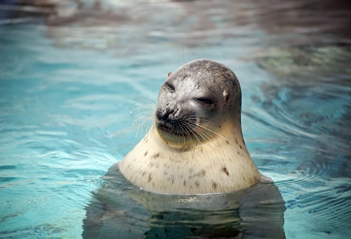 スギちゃん口調で喋ろうぜぇ～！【part72】