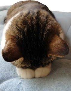 スギちゃん口調で喋ろうぜぇ～！【part72】