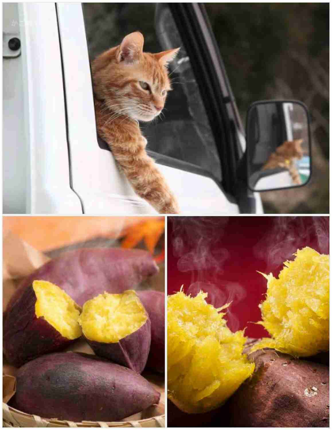 スギちゃん口調で喋ろうぜぇ～！【part72】