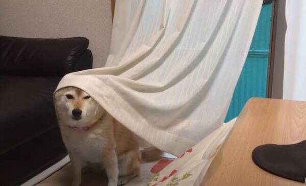 スギちゃん口調で喋ろうぜぇ～！【part72】