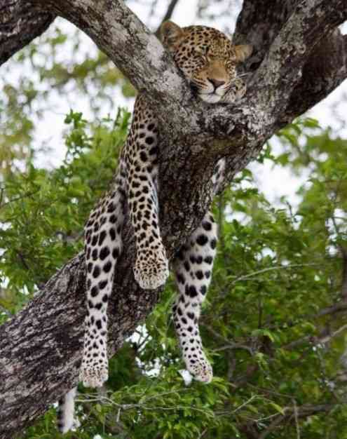 スギちゃん口調で喋ろうぜぇ～！【part72】