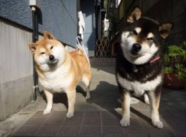 スギちゃん口調で喋ろうぜぇ～！【part72】