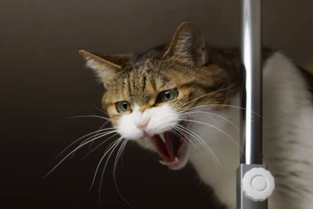 スギちゃん口調で喋ろうぜぇ～！【part72】